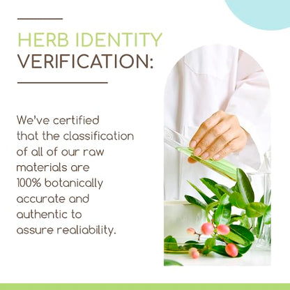 HerbEra Cleavers USDA Organic 60 Capsules | Pack of 2 | Natural Herbal Supplement