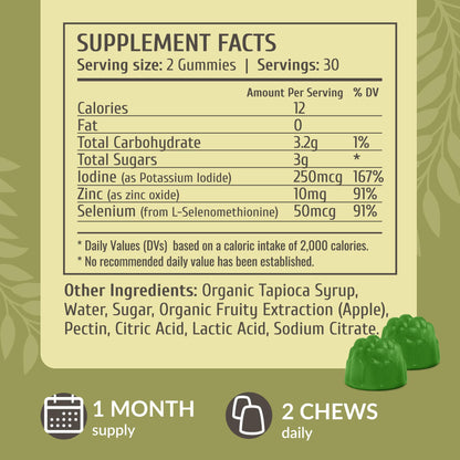 HERBAMAMA Iodine Gummies – Potassium Iodine, Zinc & Selenium for Immune Support & Brain Health | Vegan, Non-GMO | 60 Apple-Flavored Chews (Pack of 2)