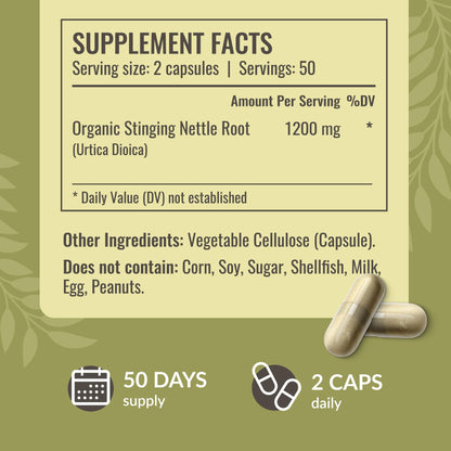 HERBAMAMA Stinging Nettle Capsules 1200mg Root Extract – Urinary Tract Support (Vegan, Non-GMO)