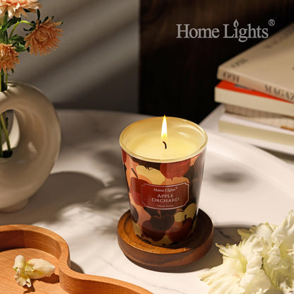 HomeLights Apple Orchard Soy Wax Candle – 6.7oz, 1-Wick, Aromatherapy Gift