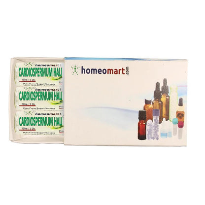Cardiospermum Halicacabum Homeopathy Pellets 200C (Pack of 3) – HomeoMart