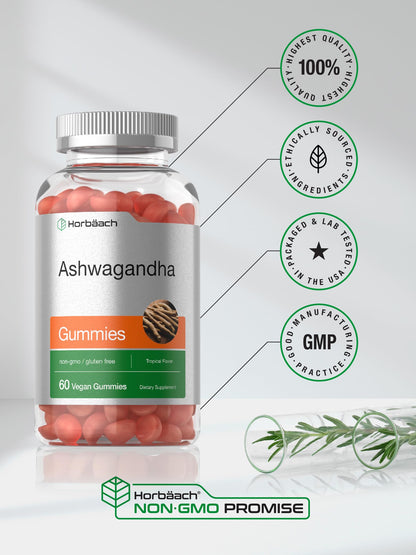 Horbäach Ashwagandha Gummies for Women and Men | 60 Count | Vegan, Non-GMO, Gluten Free Supplement | Tropical Flavor