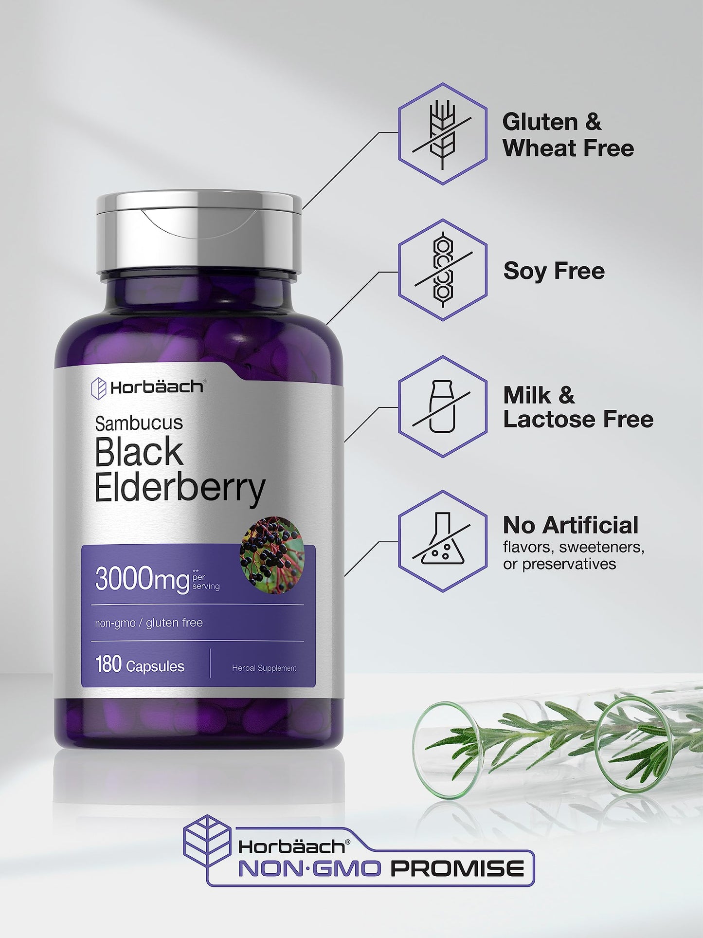 Horbäach Black Elderberry 3000mg Capsules - 180 Count | Non-GMO, Gluten Free Sambucus Extract Supplement