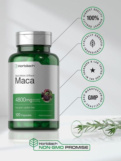 Horbäach Maca Root Capsules for Men and Women | 120 Pills | High Potency Extract | Non-GMO & Gluten Free
