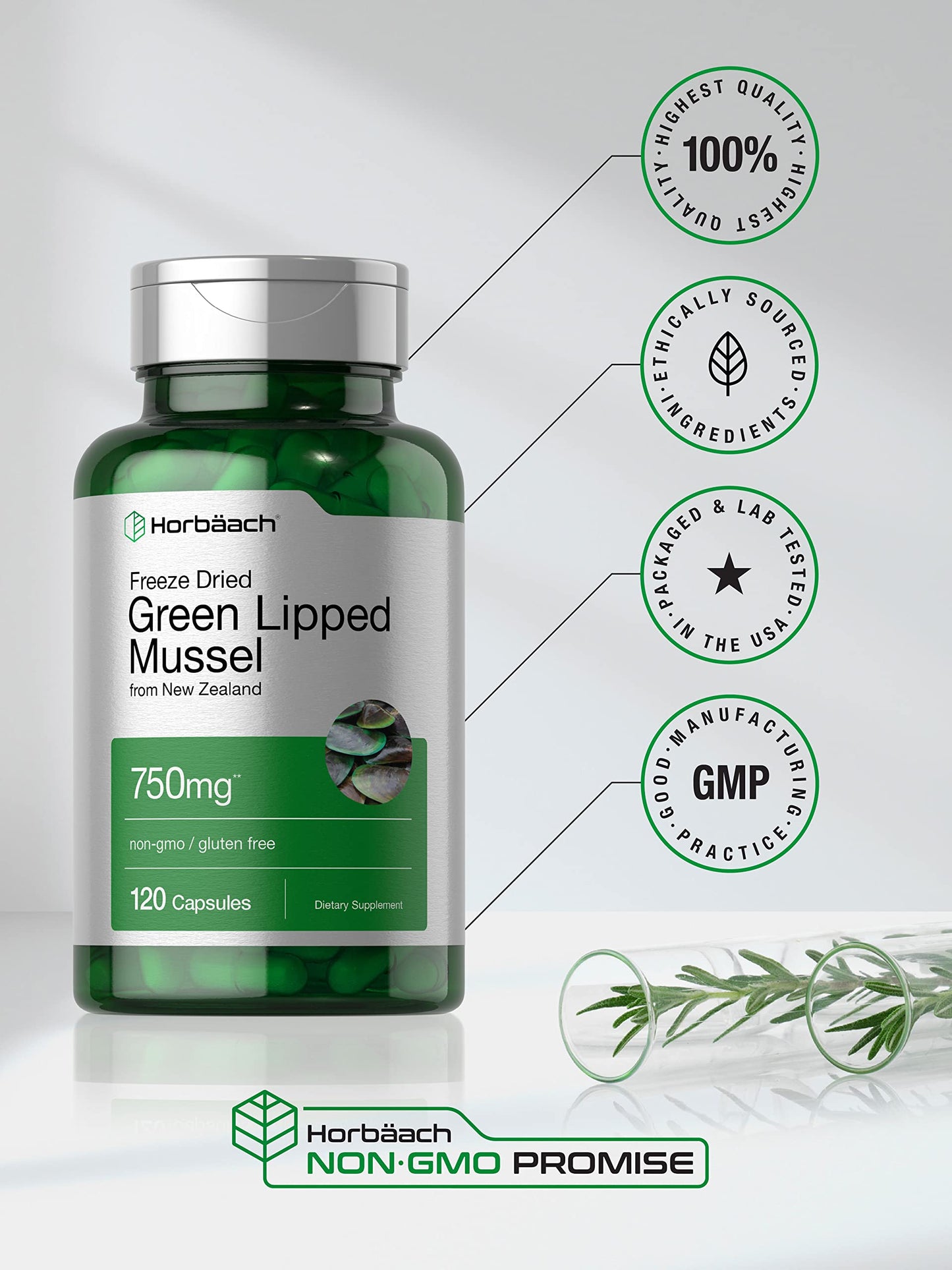 Horbäach Green Lipped Mussel 750 mg – 120 Capsules | NZ Freeze-Dried Mussel Powder | Non-GMO & Gluten Free