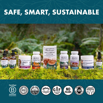 Host Defense CordyChi Capsules – Energy & Immune Support (Cordyceps & Reishi) – 30 Caps