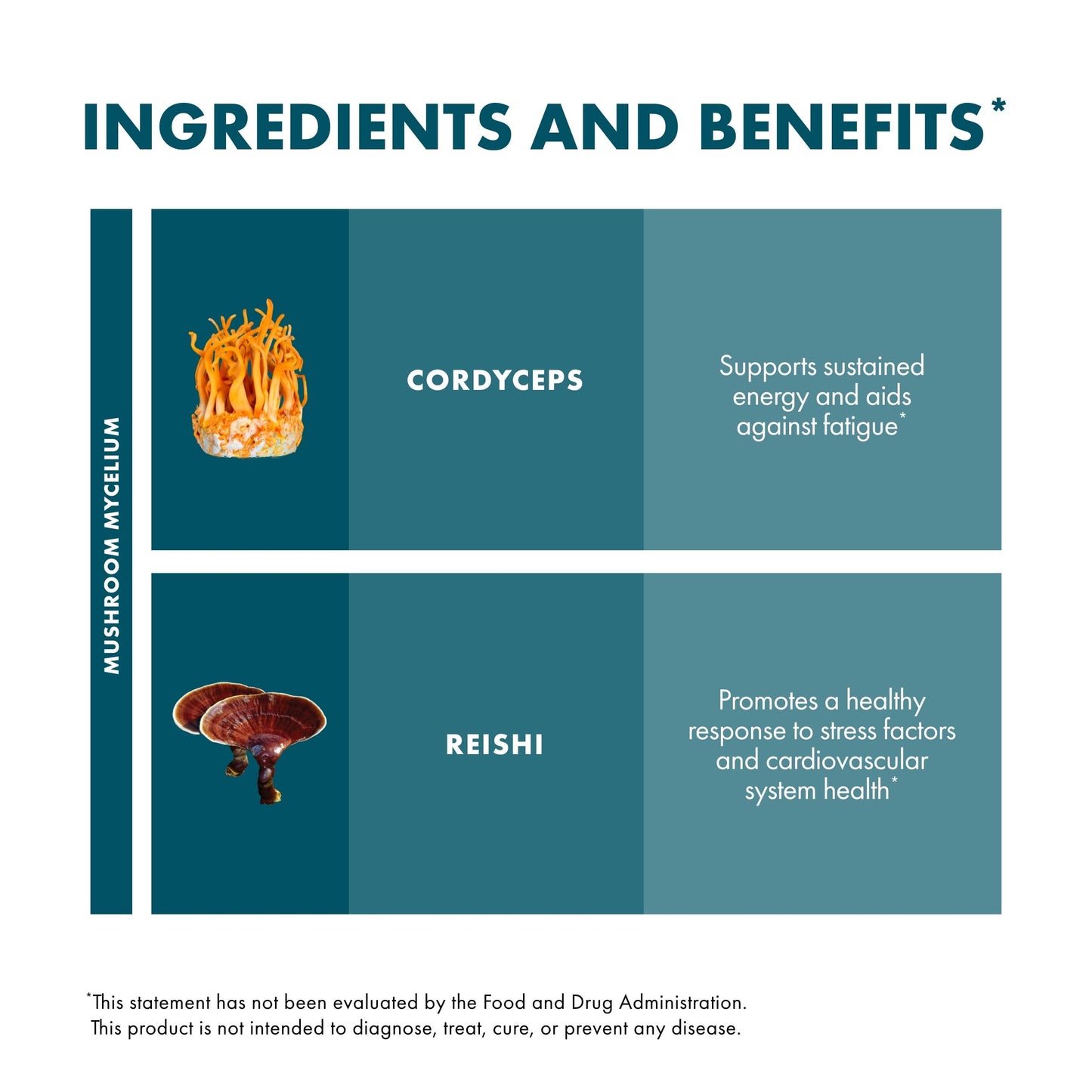 Host Defense CordyChi Extract - Energy & Immune Support (Cordyceps & Reishi)