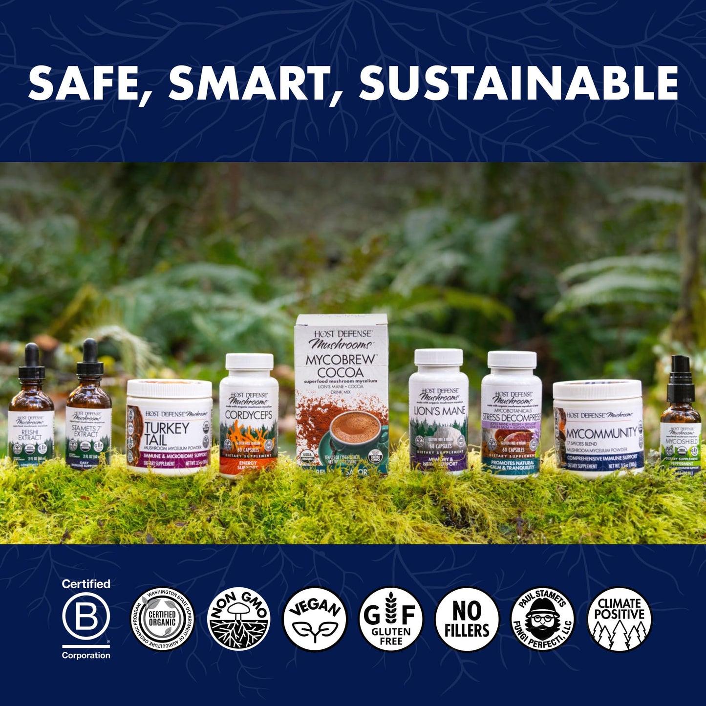 Host Defense MycoBotanicals Brain & Body Powder – Digestive & Immune Support with Lion's Mane & Reishi
