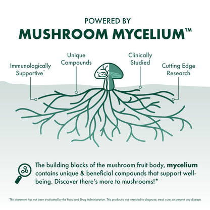 Host Defense MycoBotanicals Liver* Capsules - Liver Health Supplement with Milk Thistle & Turmeric Root - Mushroom Supplement with Turkey Tail, Reishi & Chaga - 60 Capsules (30 Servings)*