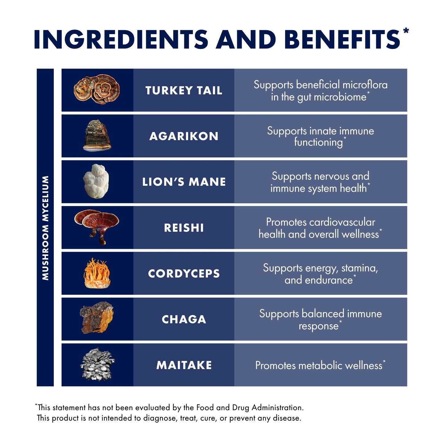 Host Defense MyCommunity Powder 17-Species Mushroom Blend for Immune Support - 100g (66 Servings)