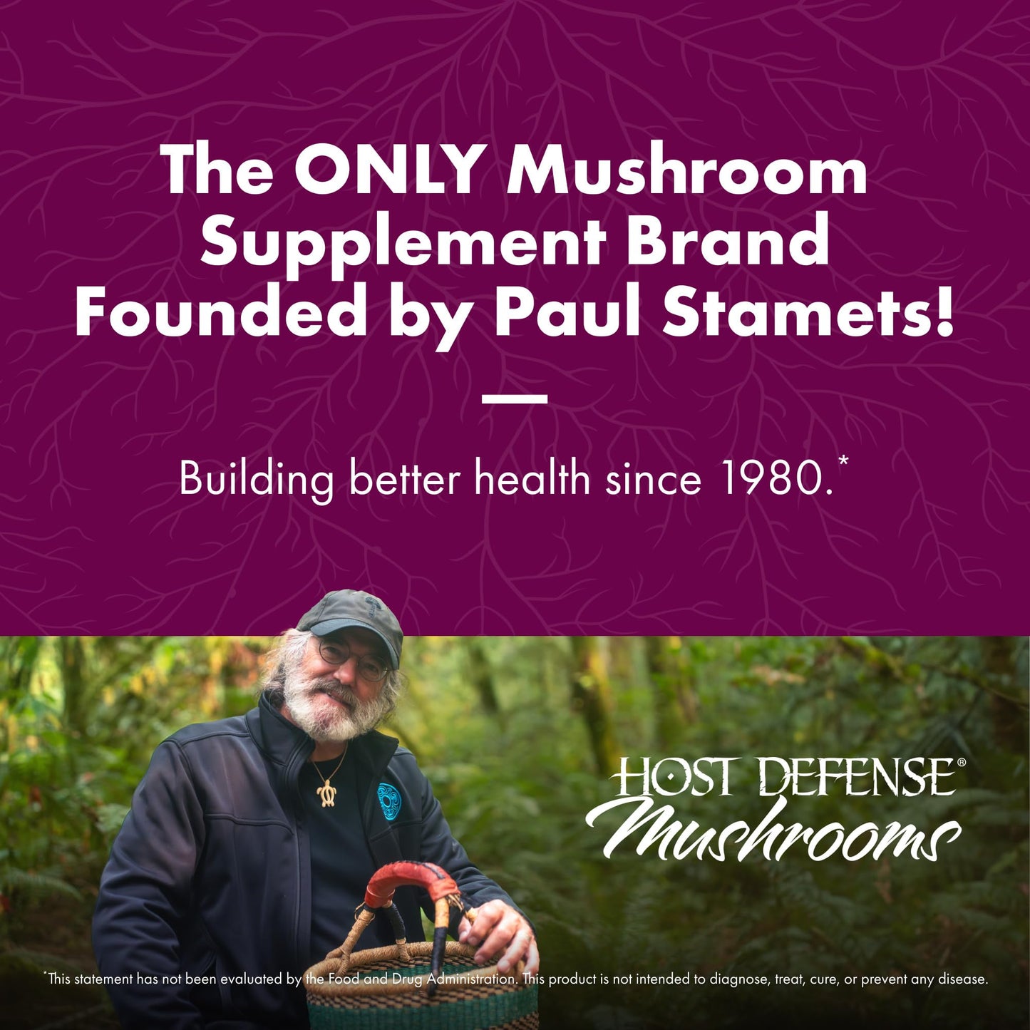 Host Defense Turkey Tail Mushroom Powder – Digestive Health & Immune Support (3.5 oz, 66 Servings)