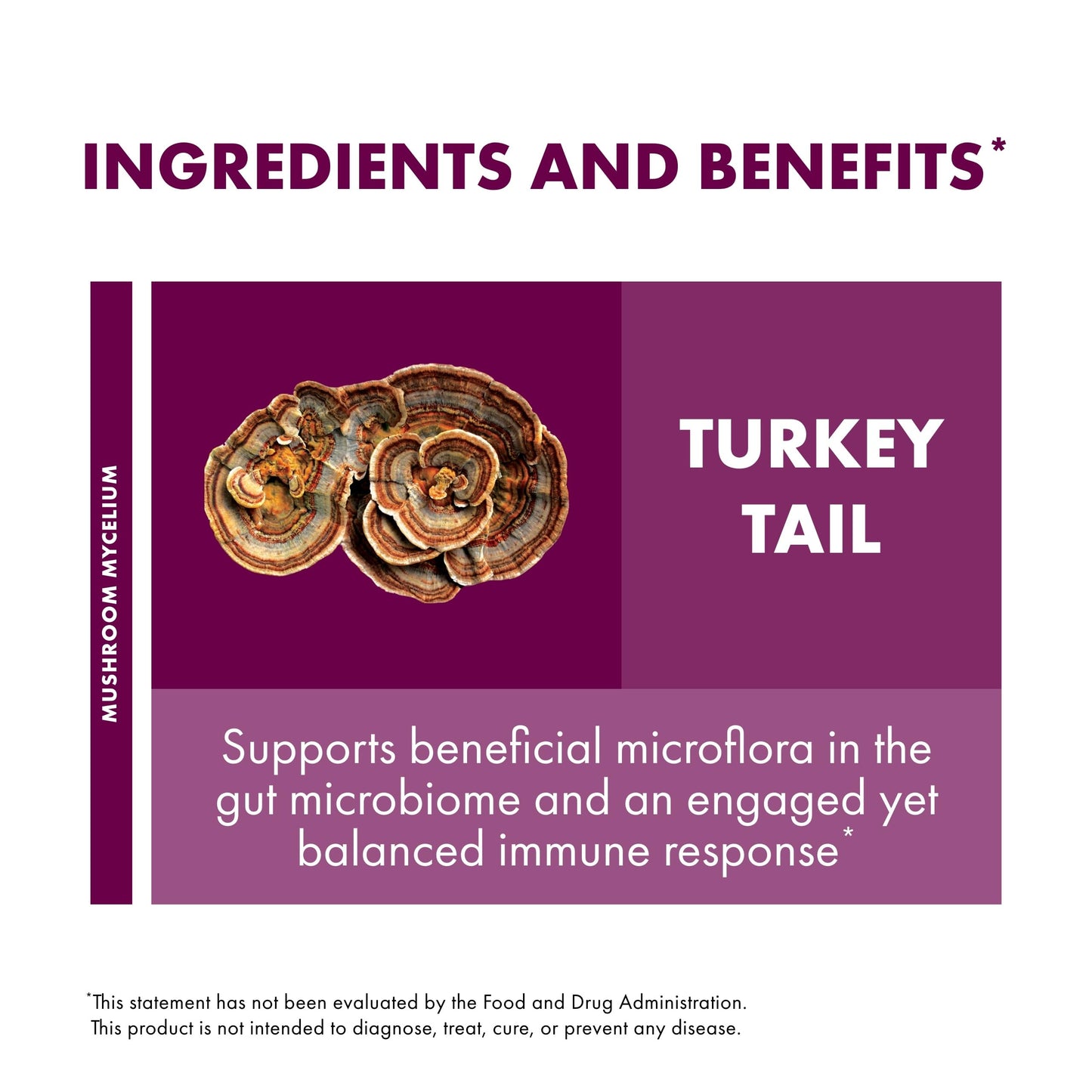 Host Defense Turkey Tail Mushroom Powder – Digestive Health & Immune Support (3.5 oz, 66 Servings)