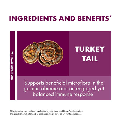 Host Defense Turkey Tail Mushroom Powder – Digestive Health & Immune Support (3.5 oz, 66 Servings)