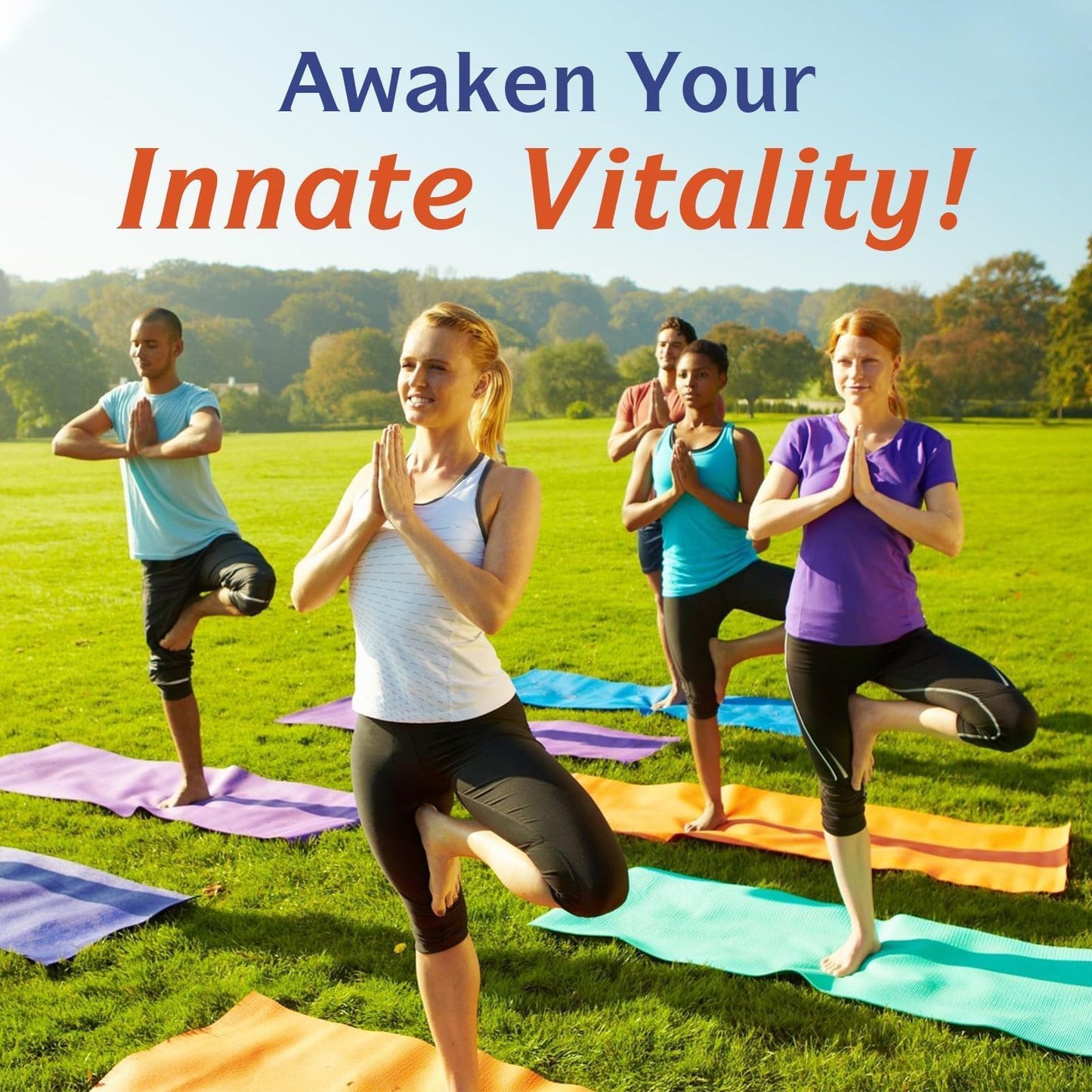 Innate Vitality 10-in-1 Magnesium Complex – 420mg Elemental Mg per Serving | Sleep, Digestion & Energy Support | 90 Vegan Caps