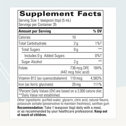 Integrative Therapeutics Liquid Iron with B12 & Folate | Apple Cinnamon | Gluten & Dairy-Free | 6 oz