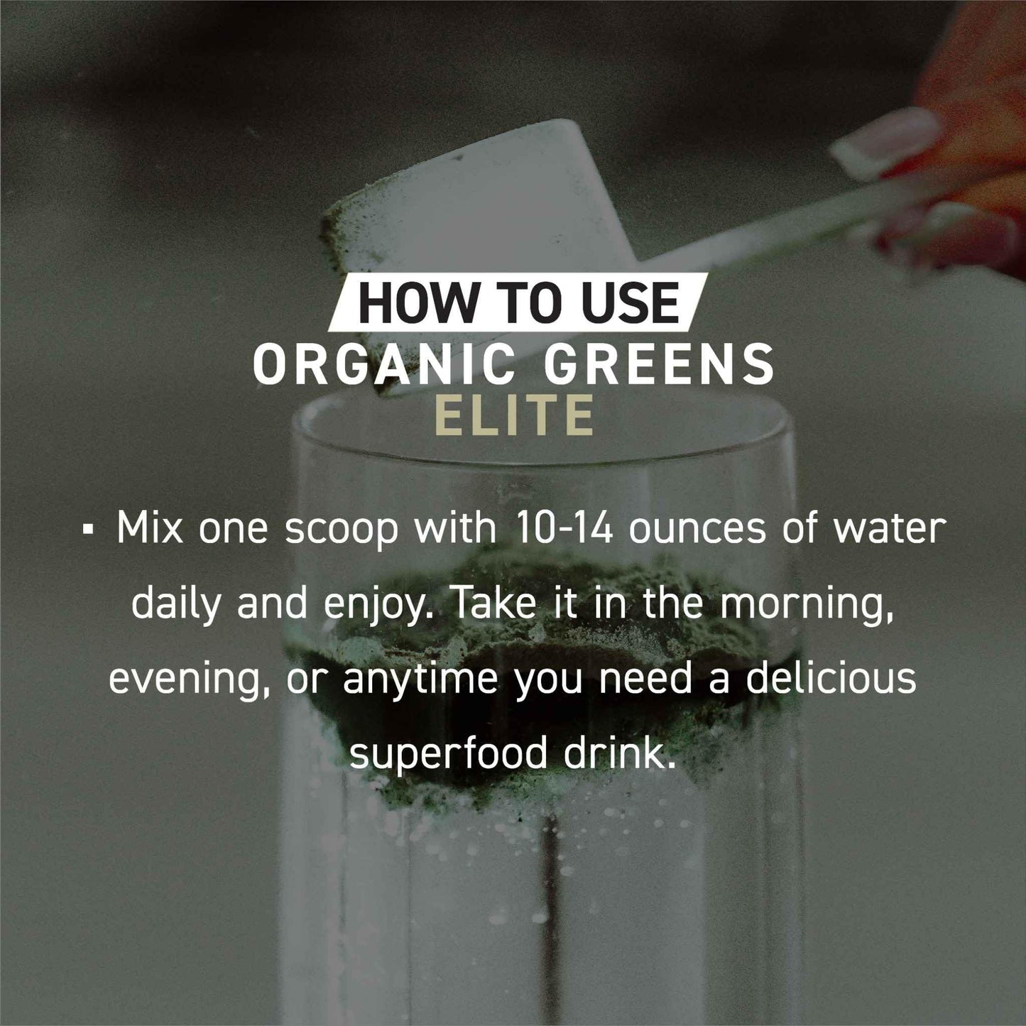 Kaged Organic Greens Elite Berry — Superfood Greens Powder with Apple Cider Vinegar, Adaptogens & Prebiotics | 30 Servings