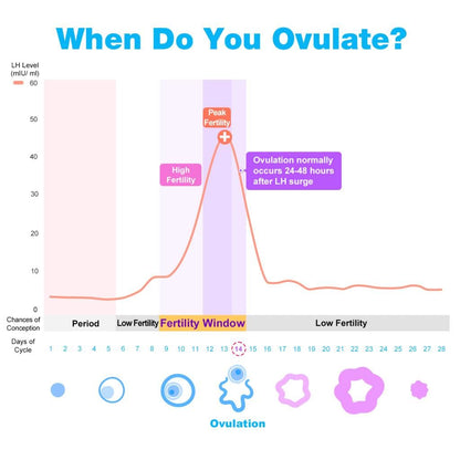 Easy@Home Ovulation & Pregnancy Test Strips Kit: 25 Ovulation Strips and 10 Pregnancy Tests – Accurate Fertility Tracker OPK | 25LH + 10HCG