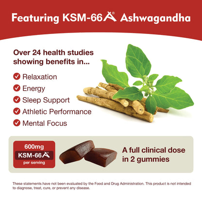 KSM-66 Ashwagandha Gummies – 600mg Organic Root Extract per Serving | Apple-Berry Flavor | Supports Relaxation, Focus & Energy (60 Gummies)