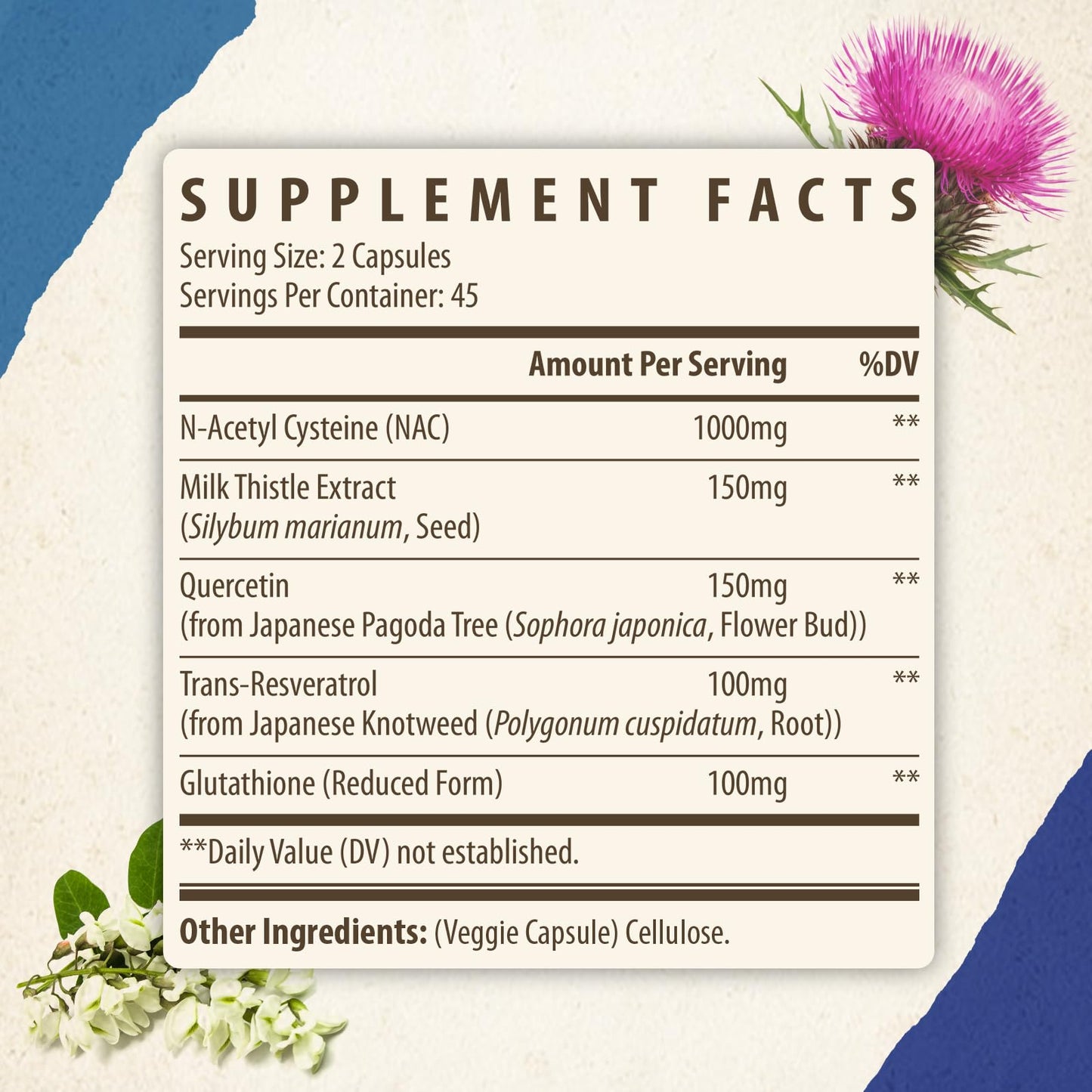Kynderynl NAC Supplement 1000mg - High Dose NAC + Milk Thistle, Quercetin, Resveratrol, Glutathione - 90 Vegan Capsules