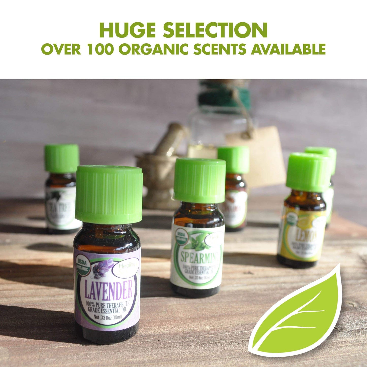 Healing Solutions Helichrysum Essential Oil – Organic, Undiluted, 0.33 fl oz (10 ml) for Skin, Diffuser & Aromatherapy