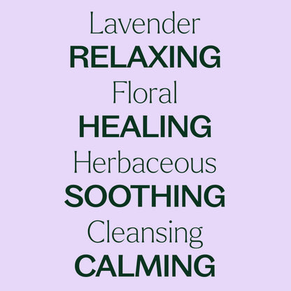 Plant Therapy Lavender Essential Oil - 100% Pure, Undiluted, Therapeutic Grade, 100 mL