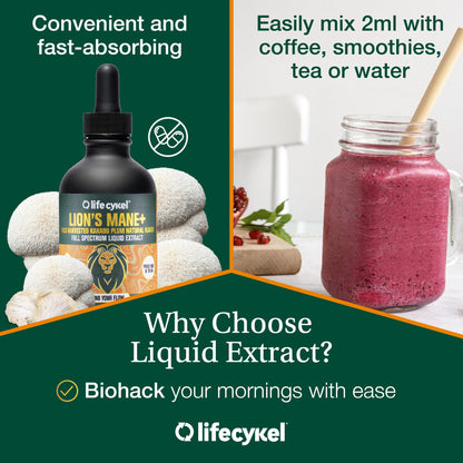 Life Cykel This is It Pack: Chaga, Lion's Mane & Cordyceps – Full-Spectrum Mushroom Extract for Energy, Clarity & Immune Support | Vegan, Non-GMO