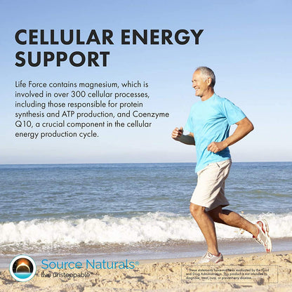 Source Naturals Life Force Multivitamin – High Potency Daily Multivitamin | Energy & Immune Support, 120 Capsules