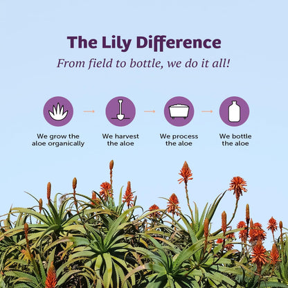 Lily of the Desert Aloe Vera Juice Whole Leaf 2-Pack 32 fl oz