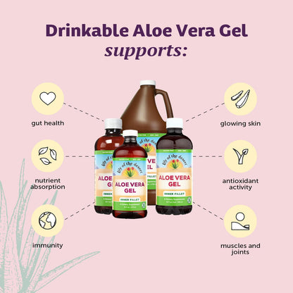 Lily of The Desert Aloe Vera Gel – Inner Fillet Drink for Gut Health (16 oz, Gelly Sachet Included)
