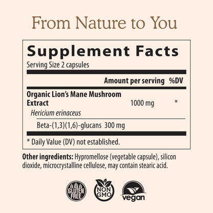 Lions Mane Mushroom Cognition (120 Capsules) Lions Mane Mushroom Powder Extract Capsules | Brain Supplement, Brain Vitamins, Focus Supplement