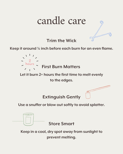 Literie Mean Girls Inspired Scented Candle – On Wednesdays We Wear Pink, 9oz, 50-Hour Burn (Vegan Soy & Coconut Wax)