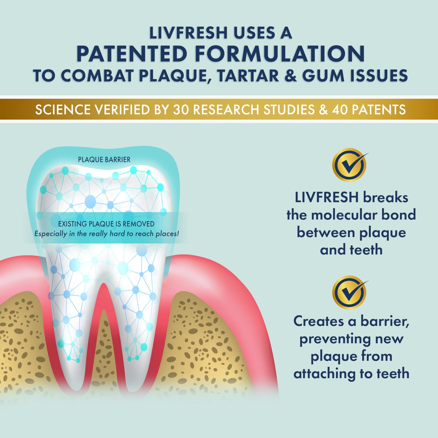 LIVFRESH Toothpaste Gel Wintergreen 3 Pack – Clinically Proven