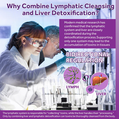 Lymphatic Drainage & Liver Cleanse Drops | Liposomal Milk Thistle, Artichoke, Turmeric | Vegan 2 Fl Oz