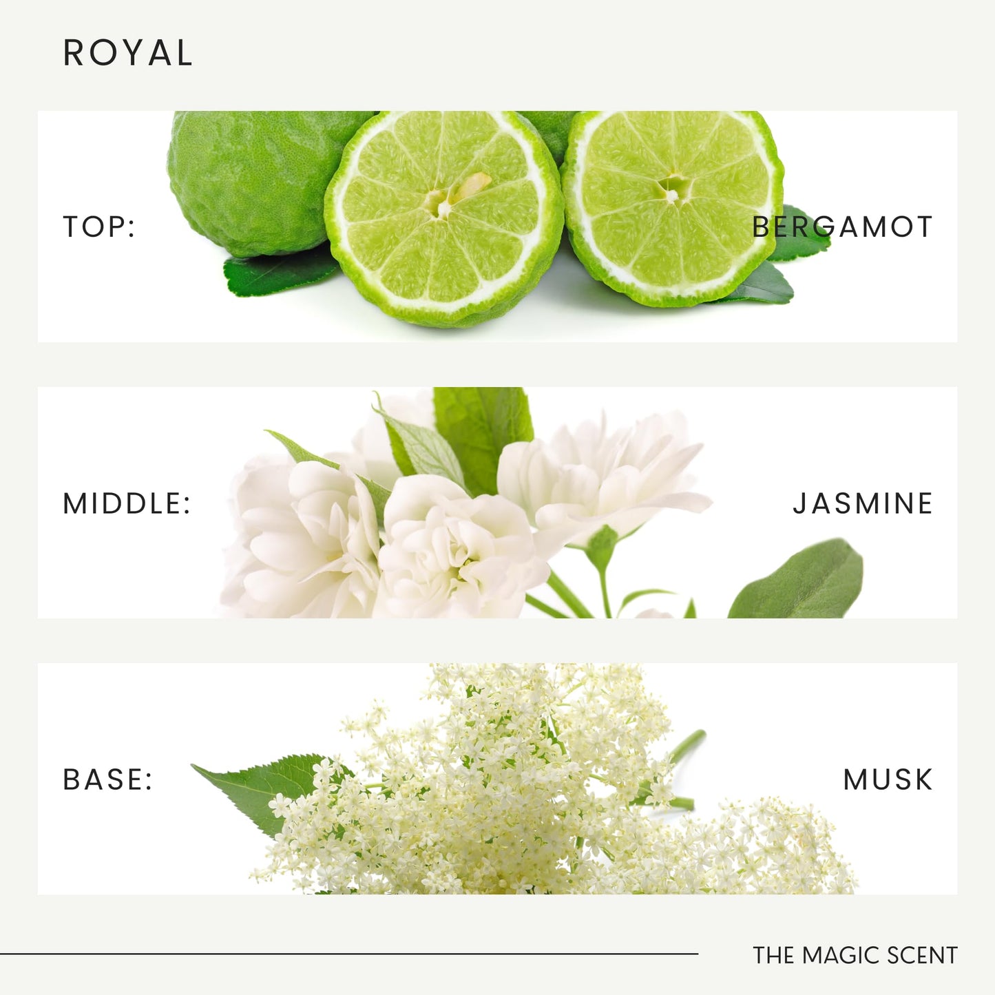 Magic Scent Royal Diffuser Oil – Luxe Hotel-Inspired Aromatherapy (10 ml)