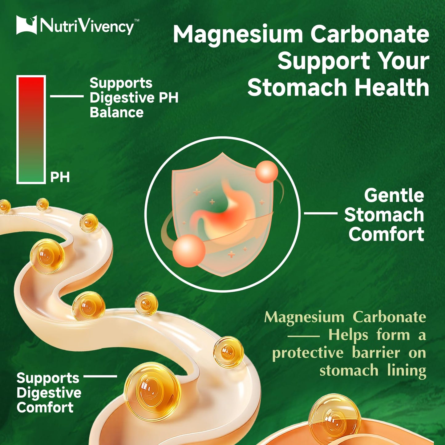 Magnesium Carbonate Gummies 500mg – Vegan, Sugar Free, Green Apple Flavor | Calcium, B6, D3 & Zinc | 30 Servings