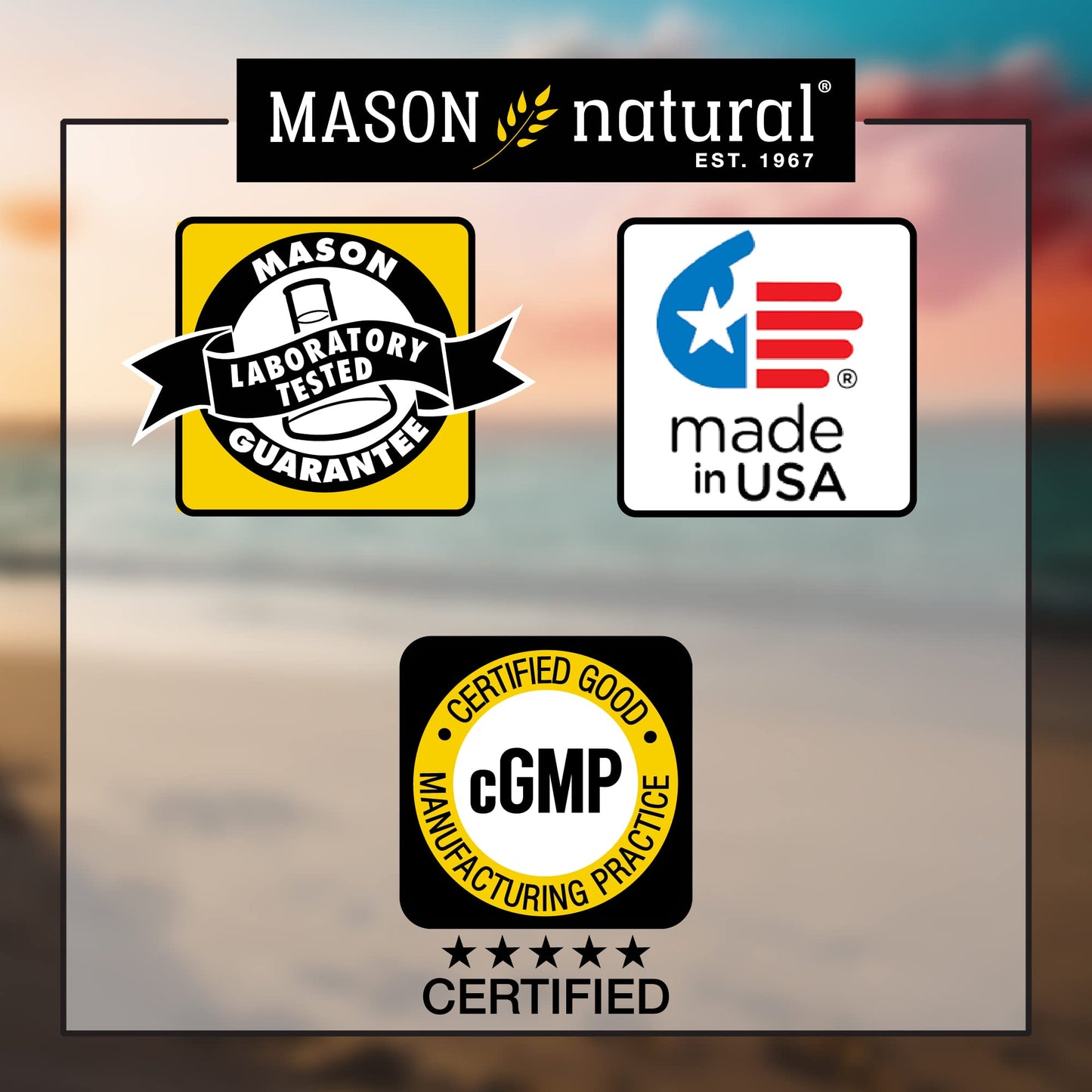MASON NATURAL Zinc 100 mg – 100 Tabs | Immune Support