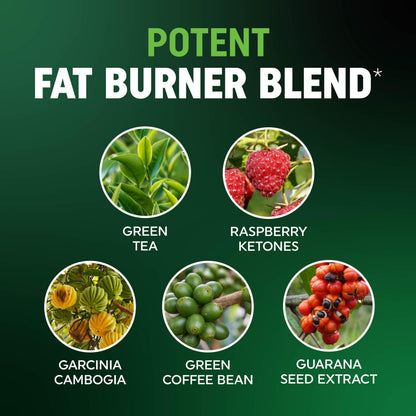 Men's Fat Burner Gummies for Weight Loss | Green Tea, Garcinia Cambogia & Ketones | Apple Flavor | 60 Gummies