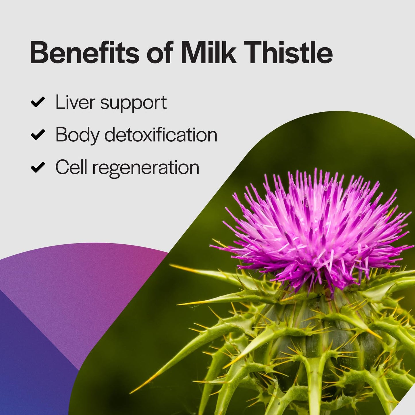 PureFormulas Milk Thistle Supreme 250 mg – Liver Health & Antioxidant Support | Non-GMO Vegetarian Capsules | 60 Count