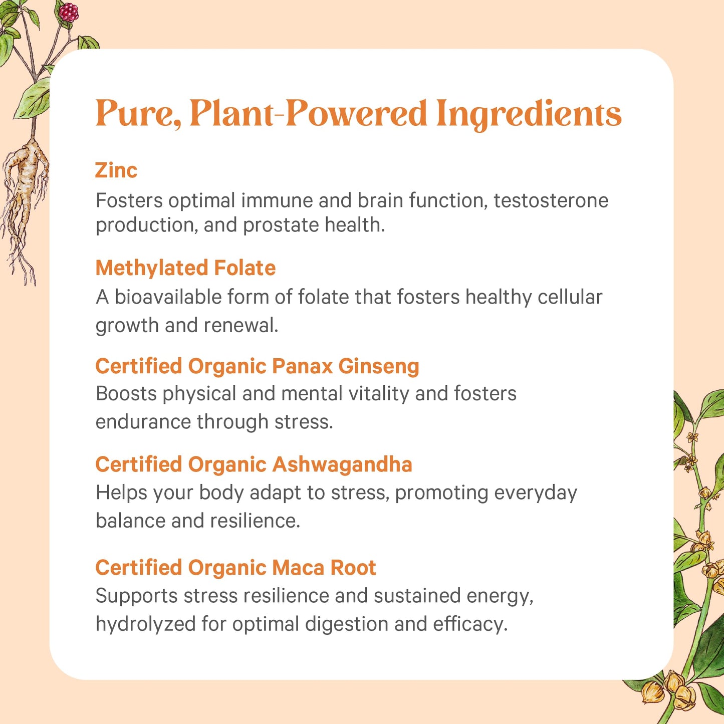 PURE SYNERGY Vita-Min-Vitality | Natural Men’s Multivitamin with Organic Whole Foods | Energy, Stress & Immune Support (60 Tablets)
