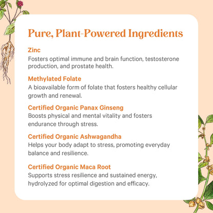 PURE SYNERGY Vita-Min-Vitality | Natural Men’s Multivitamin with Organic Whole Foods | Energy, Stress & Immune Support (60 Tablets)