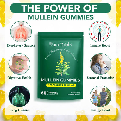 Mullein Gummies for Lungs | 2000mg Mullein Leaf Extract | Lung Support & Immune Health | 60 pcs