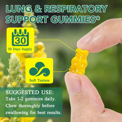 Mullein Gummies for Lungs | 2000mg Mullein Leaf Extract | Lung Support & Immune Health | 60 pcs