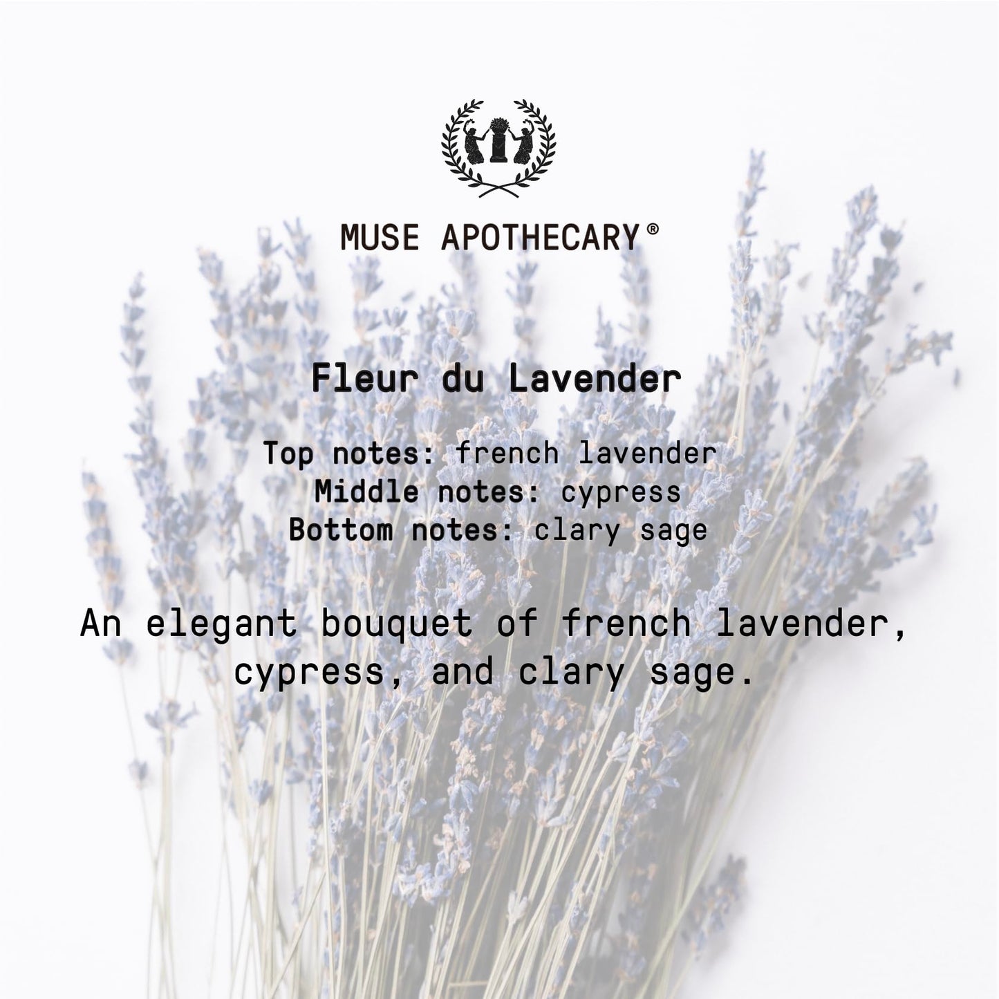 Muse Apothecary Pillow Ritual Mist – Lavender Linen Spray, 8 oz (2 Pack)