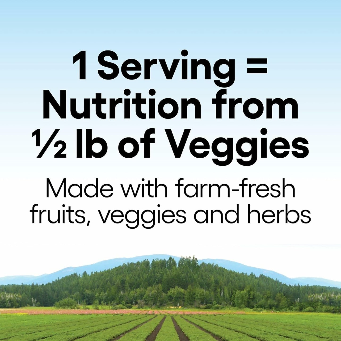 Natural Factors Men's 50+ Multivitamin & Mineral – 60 Count (Pack of 1) | ½ lb Veggies Nutrition
