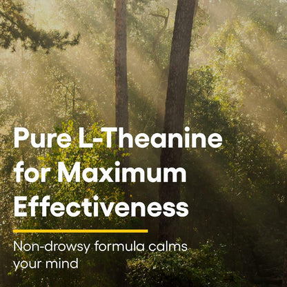 Natural Factors Suntheanine L-Theanine 100 mg – Calm Outlook & Sleep Support | 120 Chewable Tablets (60 Servings)