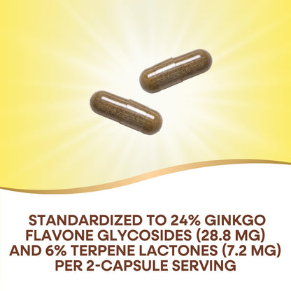 Nature's Way Ginkgo Premium Extract – Memory & Concentration, 120 Capsules