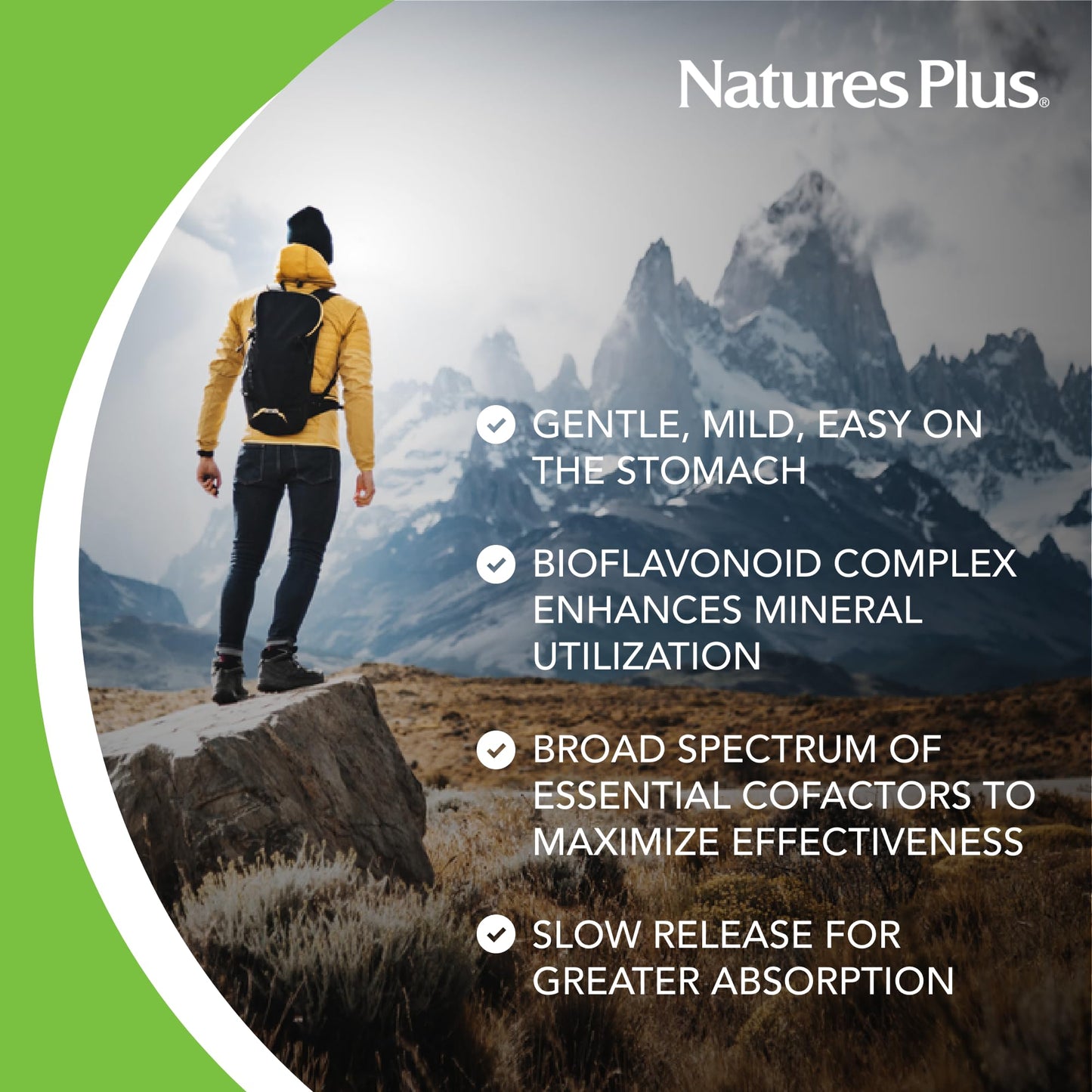 NaturesPlus Hema-Plex Iron - 60 Total Servings, 85 mg Chelated Iron, Slow-Release | Vitamin C & Bioflavonoids | Gluten Free & Vegetarian