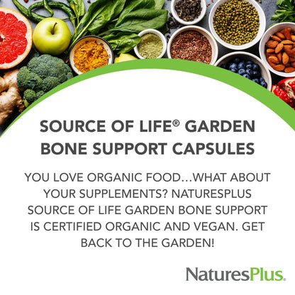 NaturesPlus Source of Life Garden Organic Bone Supplement with AlgaeCal – 1000 mg Calcium/Magnesium, 120 Vegan Capsules (30 Servings)