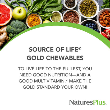 NaturesPlus Source of Life Gold Multivitamin - 90 Chewable Tablets Pack of 2 - Gluten Free - 60 Total Servings