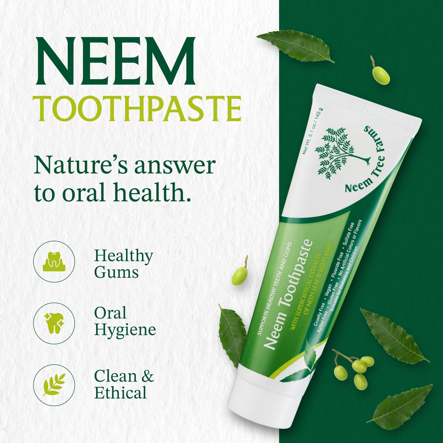 Neem Fluoride Free Toothpaste - Vegan, Gluten Free, Clove & Stevia (2 Pack)